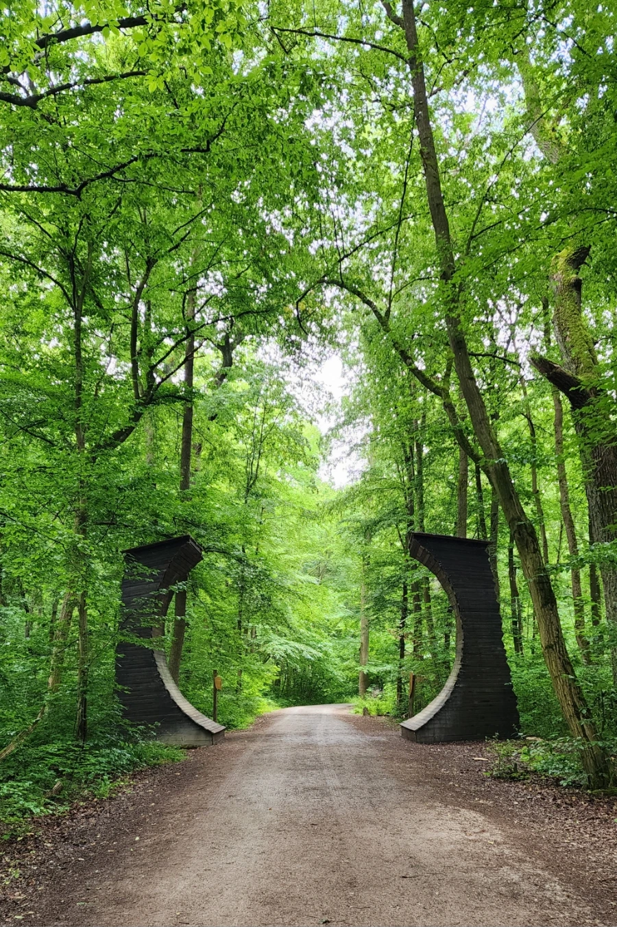 20230630%EF%BC%BF174500.jpg?type=w1