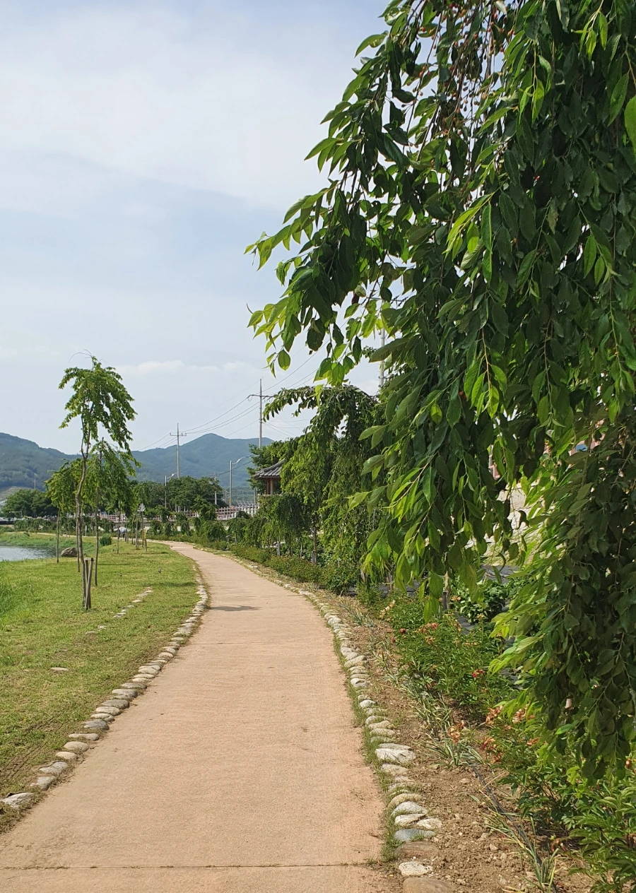 20210602%EF%BC%BF143837.jpg?type=w1