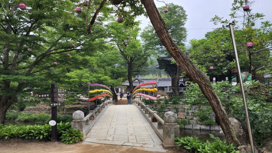 20220625%EF%BC%BF090723.jpg?type=w1