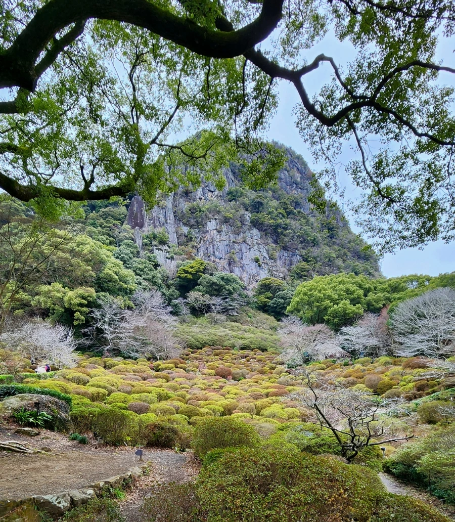 20240202%EF%BC%BF143927.jpg?type=w1