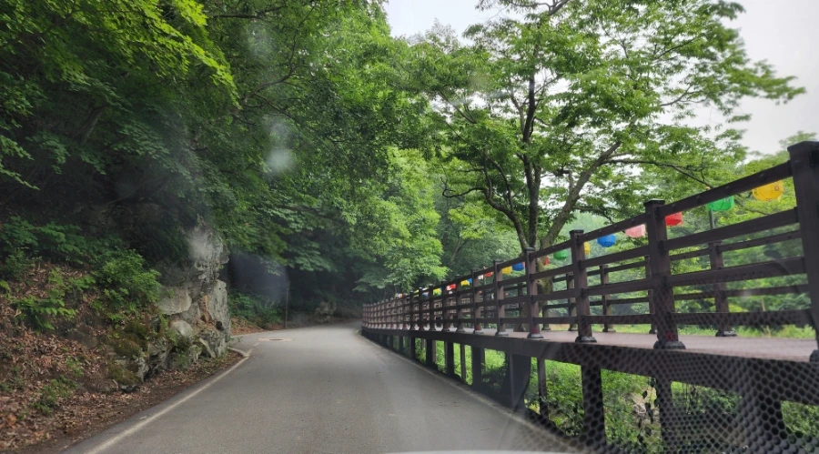 20220625%EF%BC%BF085152.jpg?type=w1