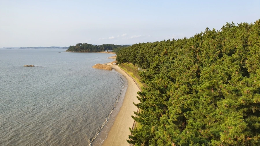 20191031_155406.jpg?type=w1