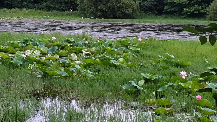 20200720_183504.jpg?type=w1