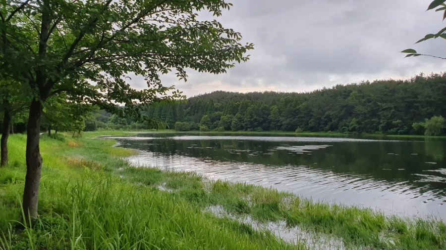 20200720_183105.jpg?type=w1