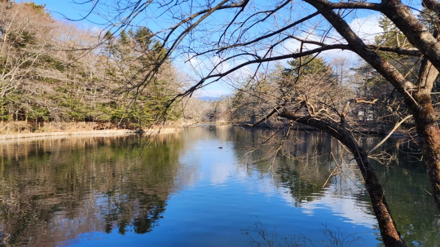 20230208%EF%BC%BF093616.jpg?type=w1