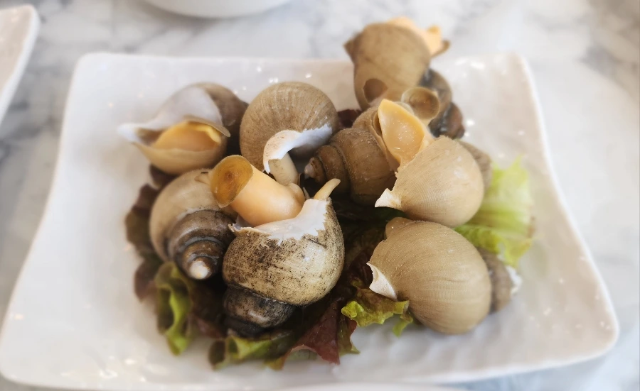 900%EF%BC%BF20241201%EF%BC%BF133427.jpg?type=w1