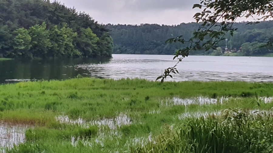 20200720_183551.jpg?type=w1