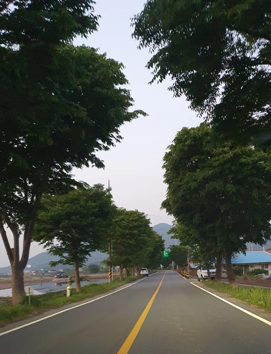 20210513_194143.jpg?type=w1