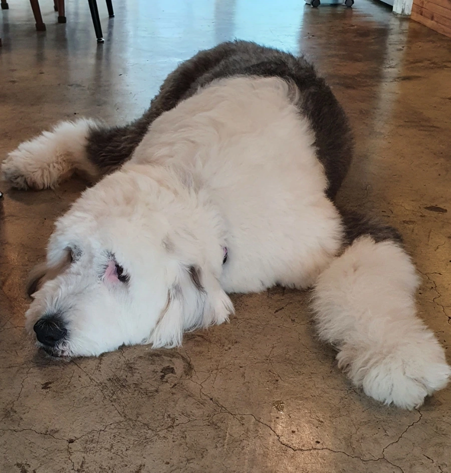 20210714_112919.jpg?type=w1