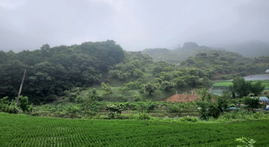 20220625%EF%BC%BF083058.jpg?type=w1