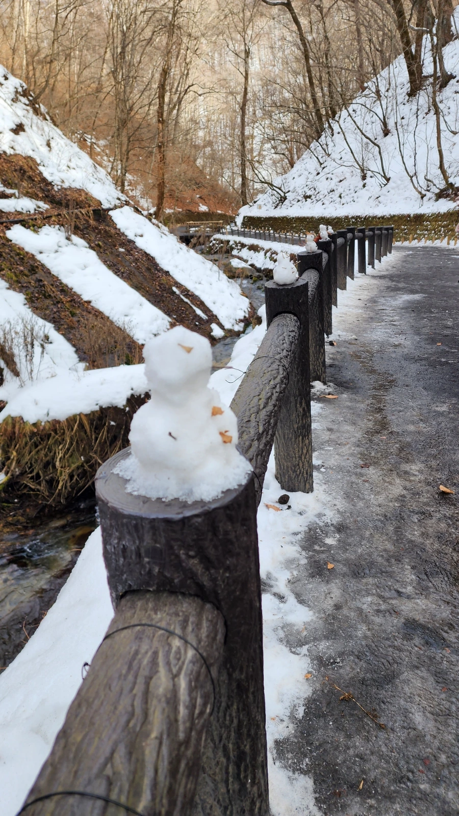 20230208%EF%BC%BF141917.jpg?type=w1