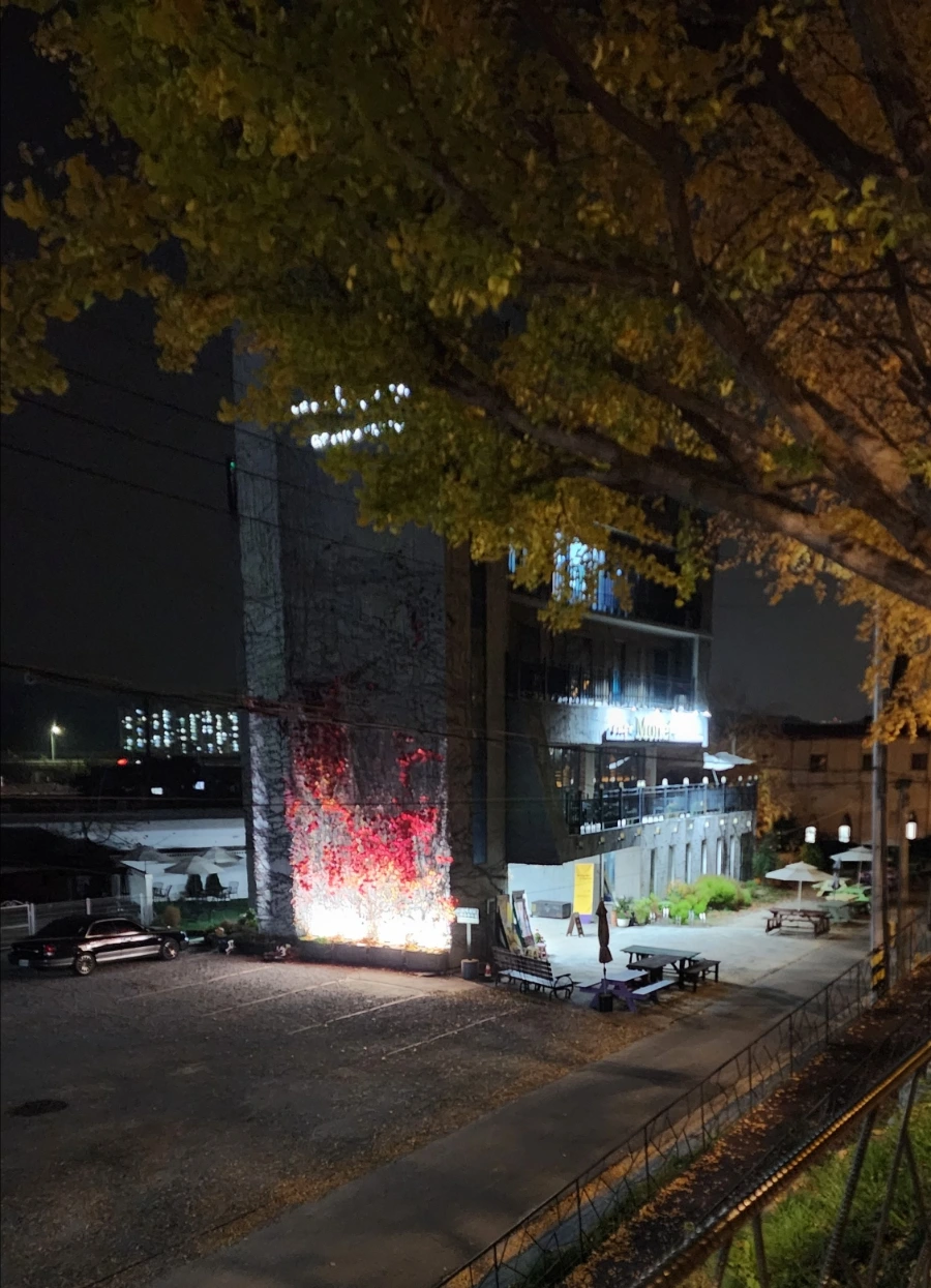 20221109%EF%BC%BF184151.jpg?type=w1