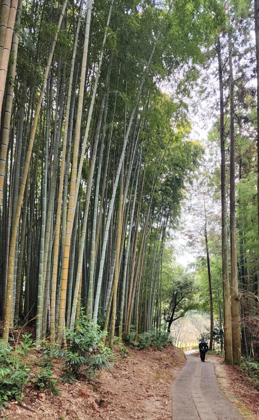 20240202%EF%BC%BF134957.jpg?type=w1