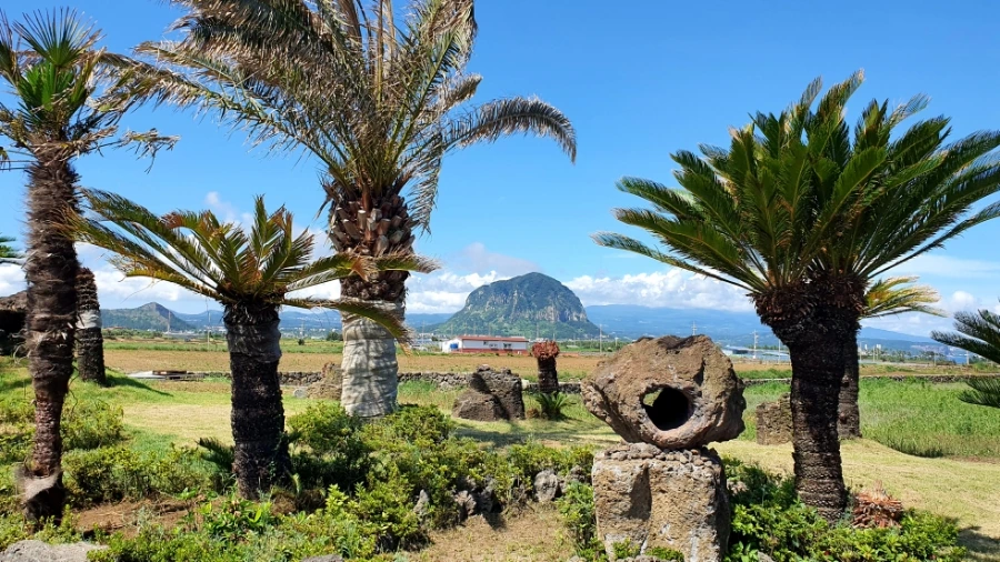 20210715_151720.jpg?type=w1