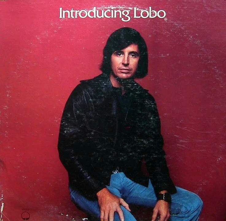 6ea8c1f3dcd08f88e723bdddd8370c70%EF%BC%8D%EF%BC%8Dvinyls.jpg?type=w1