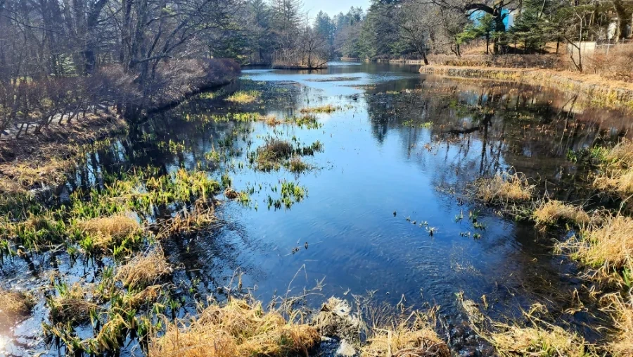 20230208%EF%BC%BF094535.jpg?type=w1