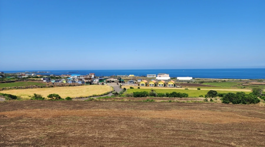 20240427%EF%BC%BF141631.jpg?type=w1