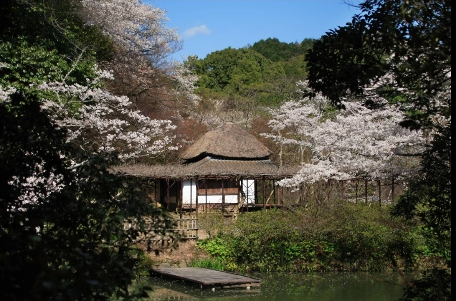 Screenshot%EF%BC%BF20240423%EF%BC%BF194428%EF%BC%BFNAVER.jpg?type=w1