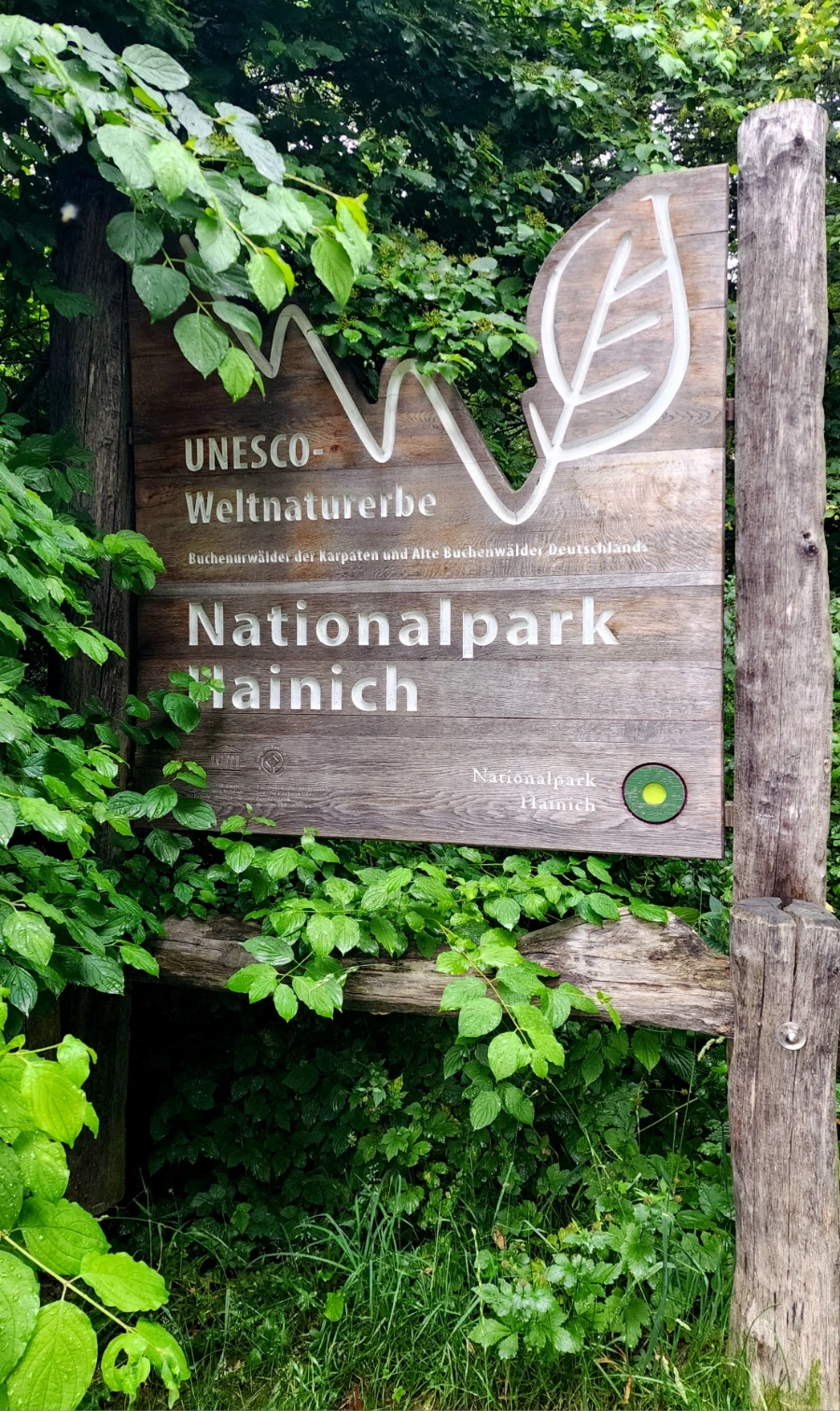 20230630%EF%BC%BF171433.jpg?type=w1