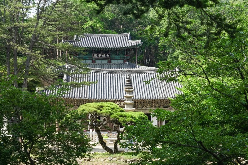 DSC09414.jpg?type=w1