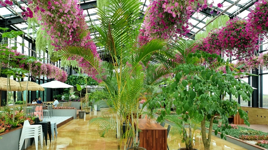 20210706_105204.jpg?type=w1