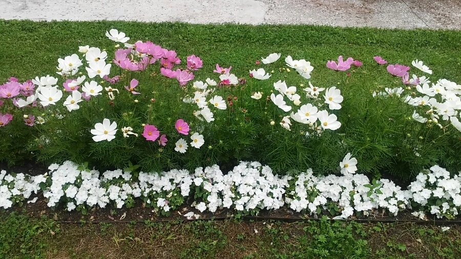 20160707_162017.jpg?type=w1