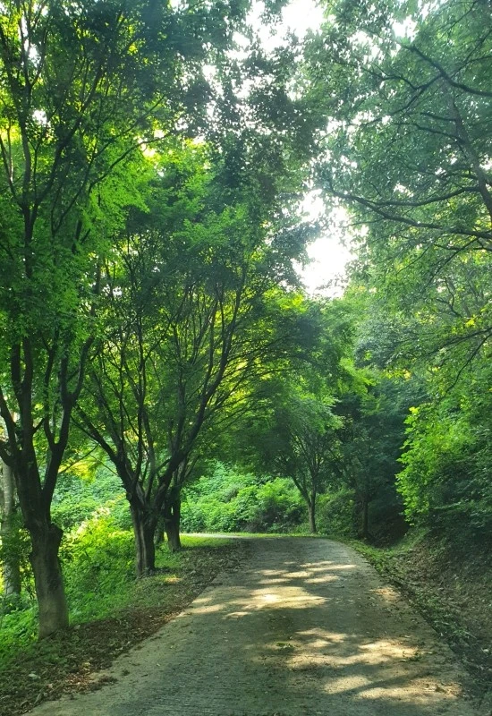 20200826_130700.jpg?type=w1