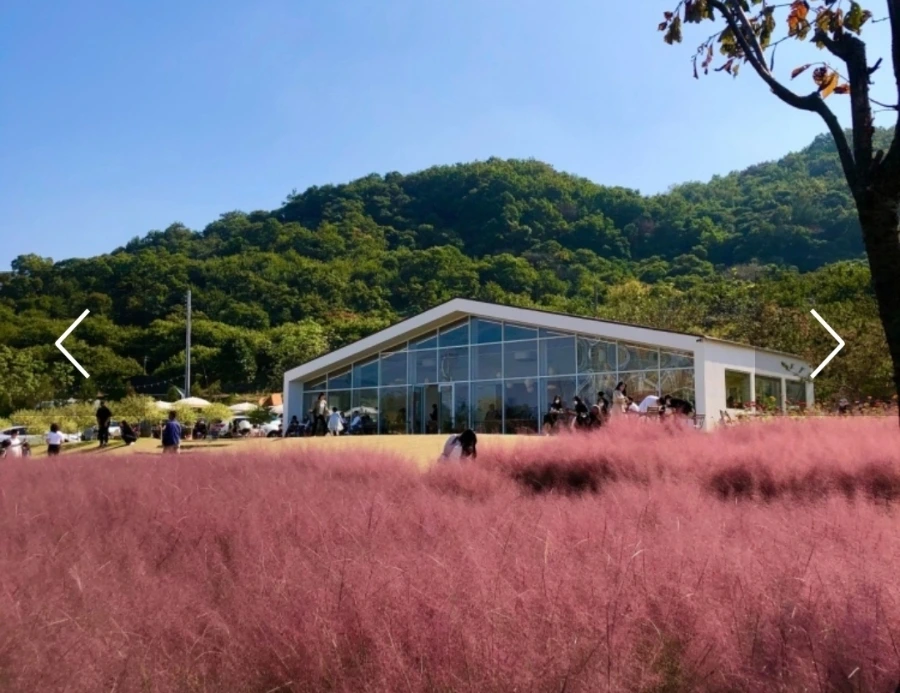 Screenshot%EF%BC%BF20221015%EF%BC%BF181844.jpg?type=w1