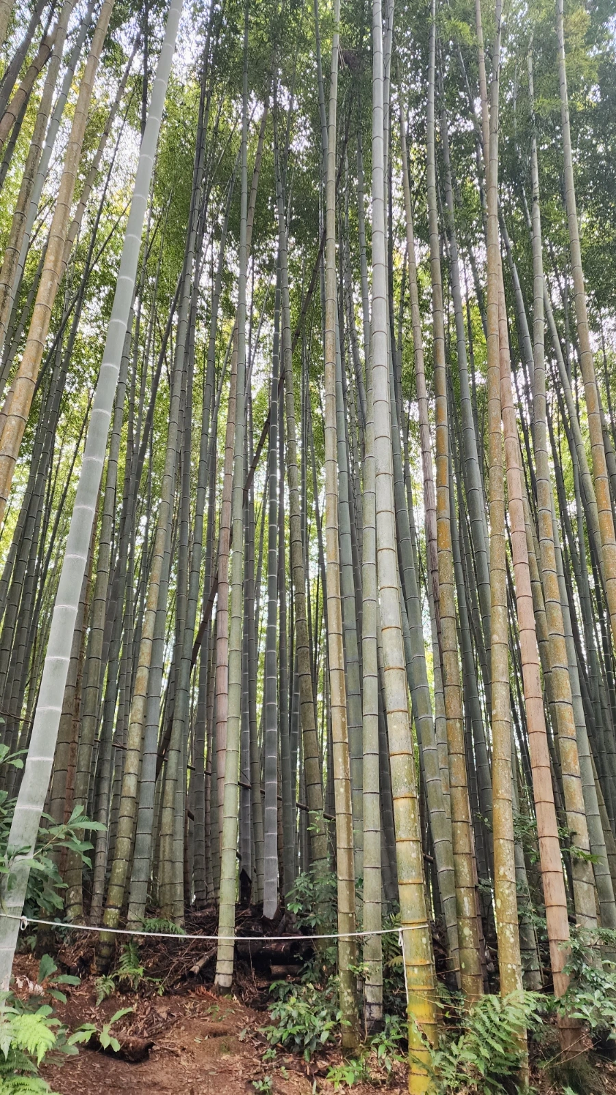 20240202%EF%BC%BF135134.jpg?type=w1