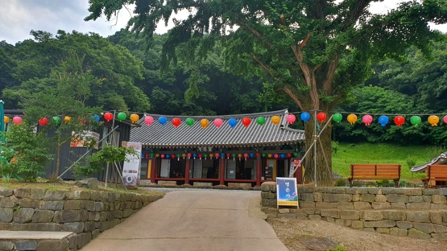 20210622%EF%BC%BF123710.jpg?type=w1