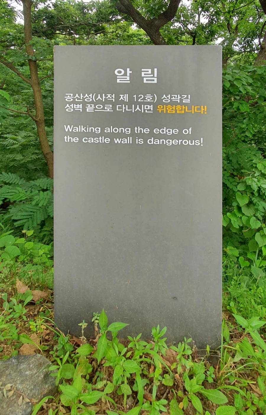 20210622%EF%BC%BF123129.jpg?type=w1