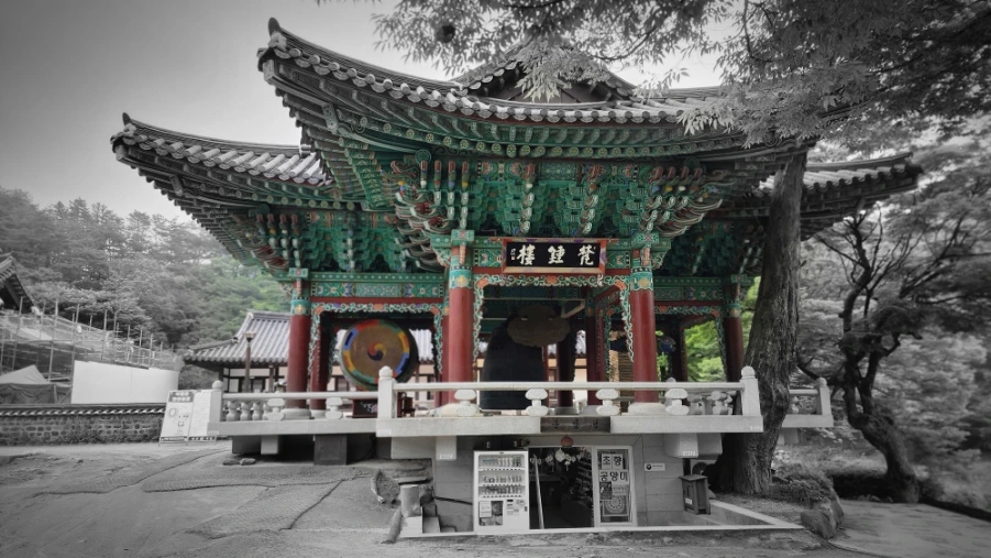 20220625%EF%BC%BF090848.jpg?type=w1