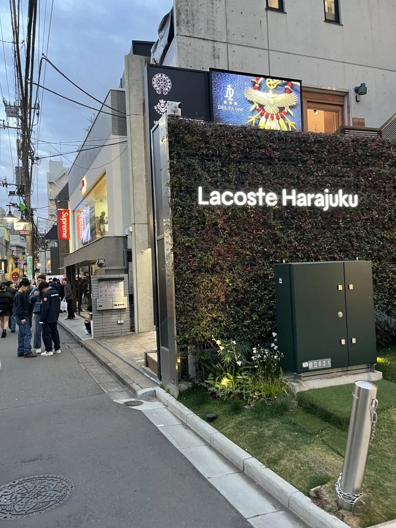 IMG_1243.jpg?type=w773