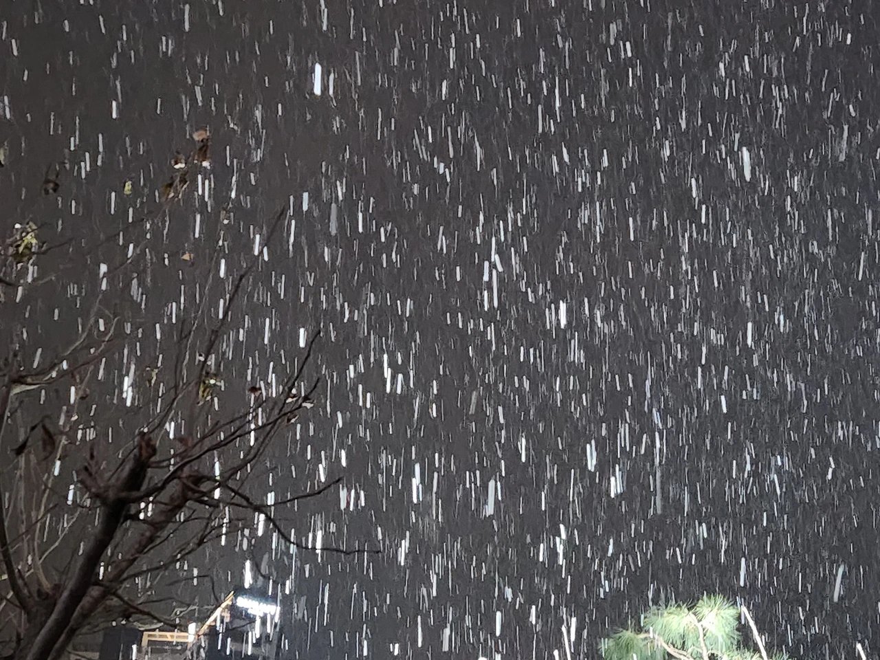 별 나리는 밤.jpeg