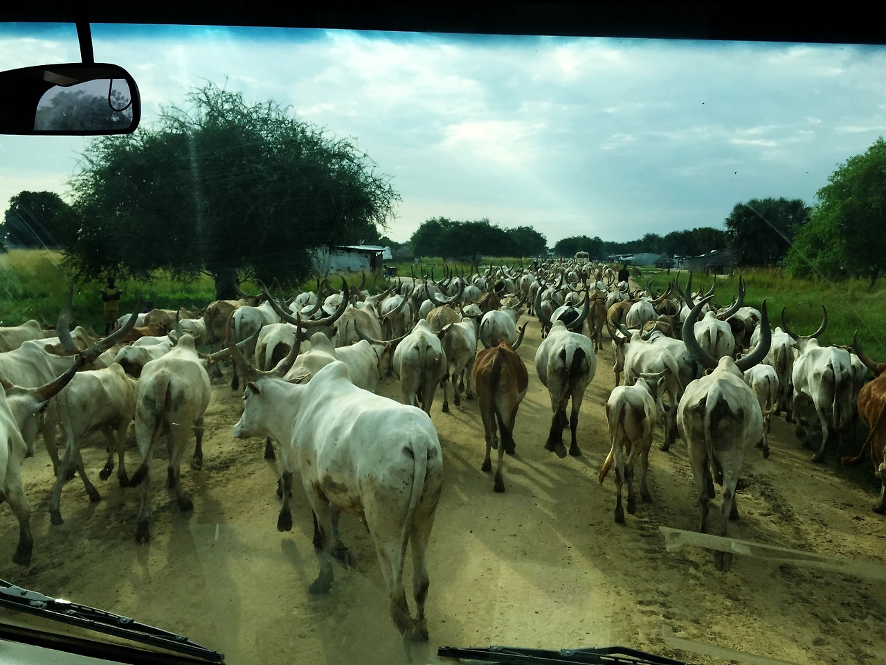 퇴근길 정체.JPG