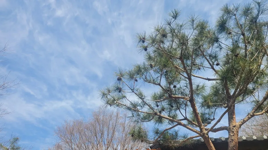 KakaoTalk_20250319_112100510_01.jpg?type=w1