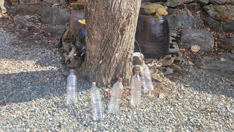 KakaoTalk_20250313_105257986_03.jpg?type=w1