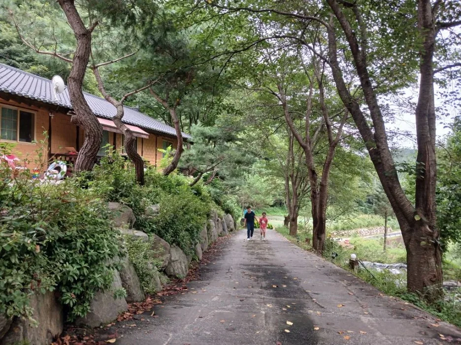 Resized_20240906_162105_1726022528662.jpeg?type=w1