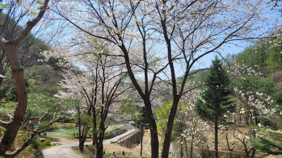 KakaoTalk_20250423_105703188_01.jpg?type=w1