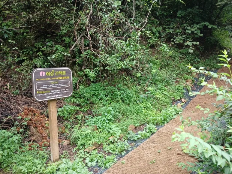 Resized_20240913_114439_1726195739509.jpeg?type=w773