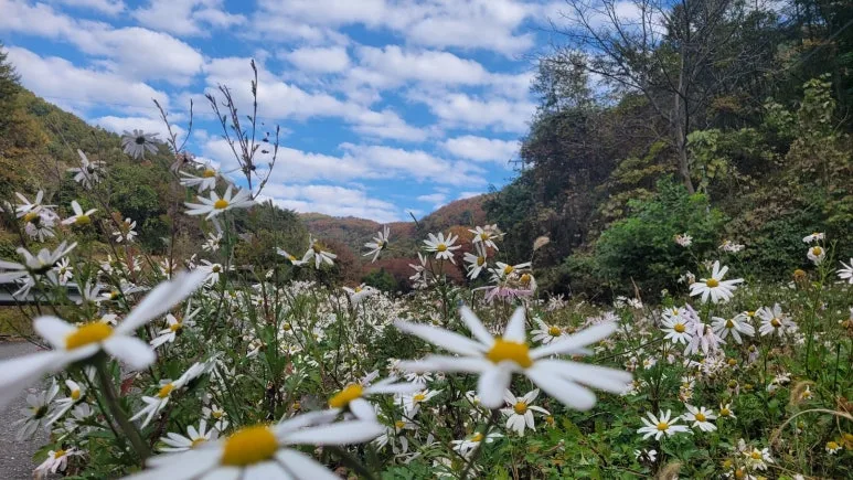 KakaoTalk_20241105_222452222_03.jpg?type=w773