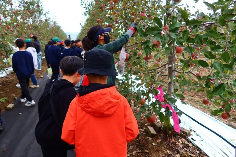 KakaoTalk_20241126_131728942.jpg?type=w1