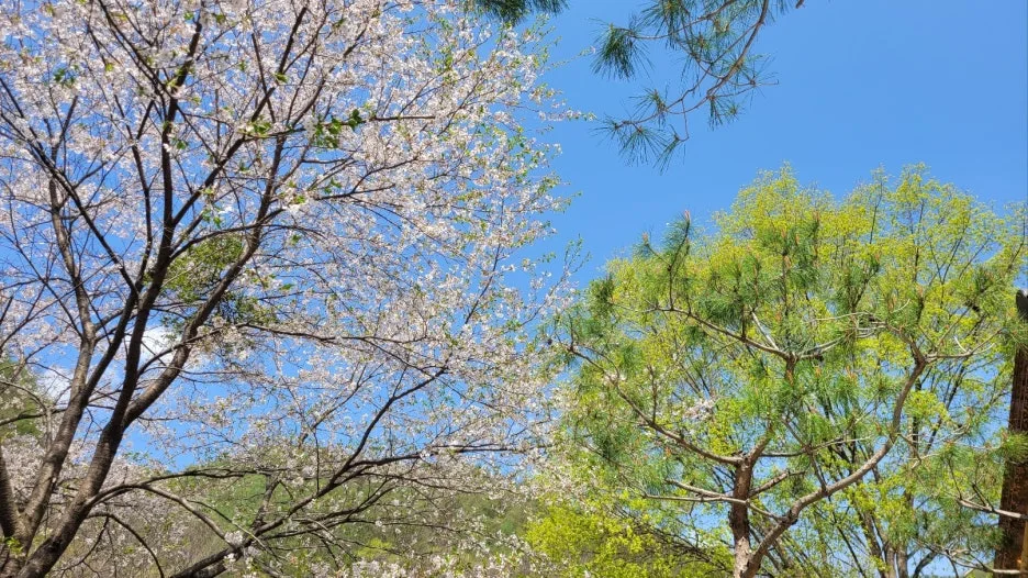 KakaoTalk_20250423_105703188.jpg?type=w1