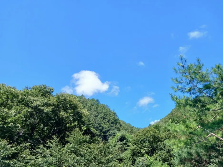 Resized_20240828_105757_1724823790584.jpeg?type=w1