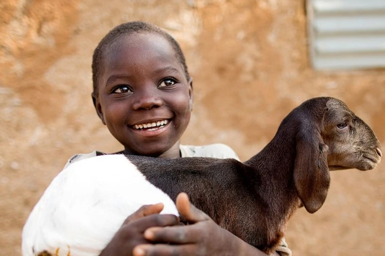 79942688_10157097470144426_3737890757600608256_n.jpg?type=w773