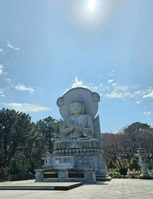 SE-93d03f18-e9bc-4101-aa57-fd13084d00f9.jpg?type=w1