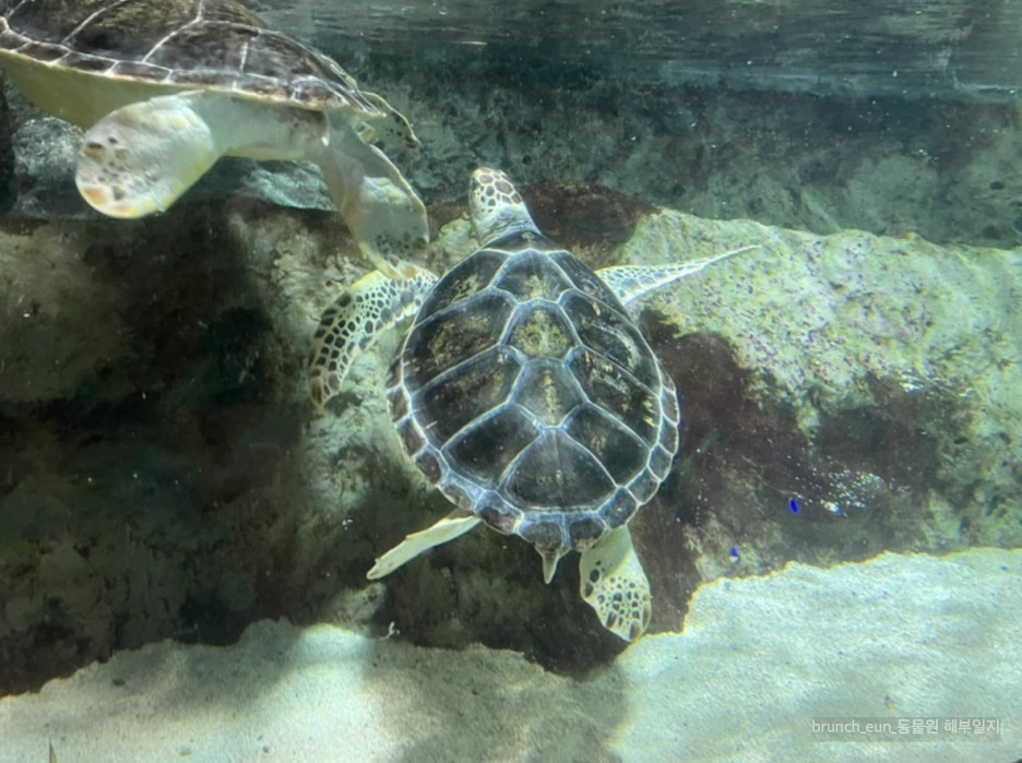 FoCqNebBU_LMDWLw8DeO4VsC92M