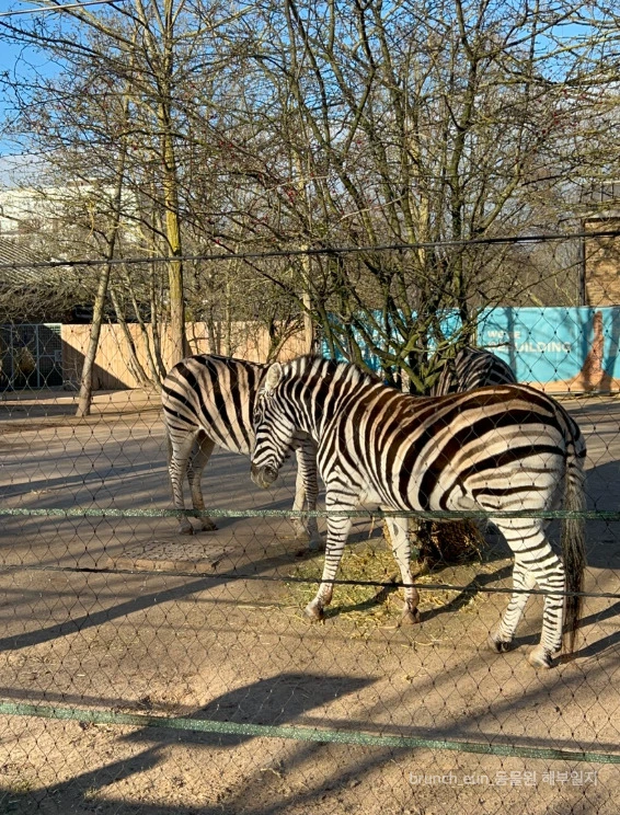 Y0OW10HlT2GaDWFhbP0s1CUAv8w