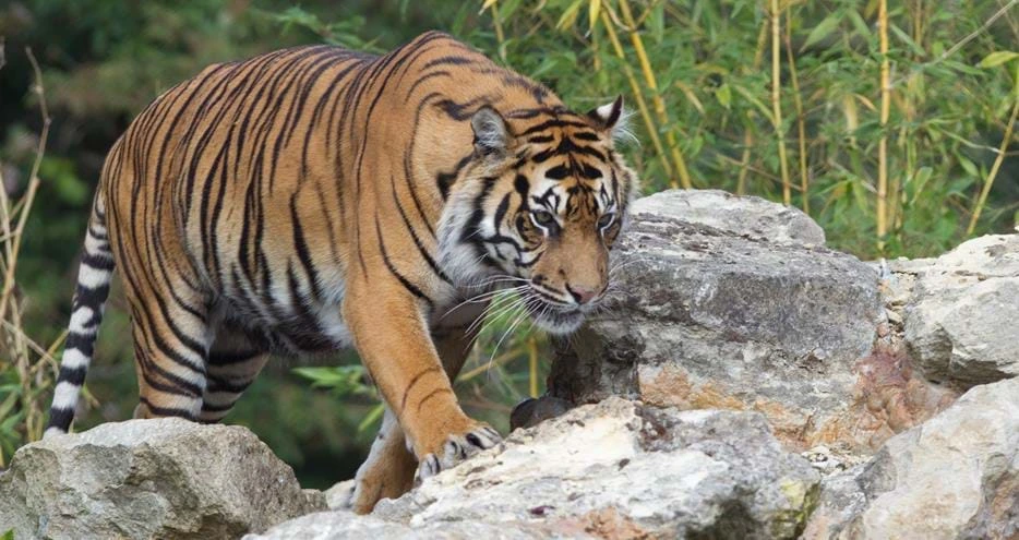 100805-84.jpg?center=0.44927536231884058,0.56129032258064515&mode=crop&quality=75&width=934&height=495&rnd=132037725400000000