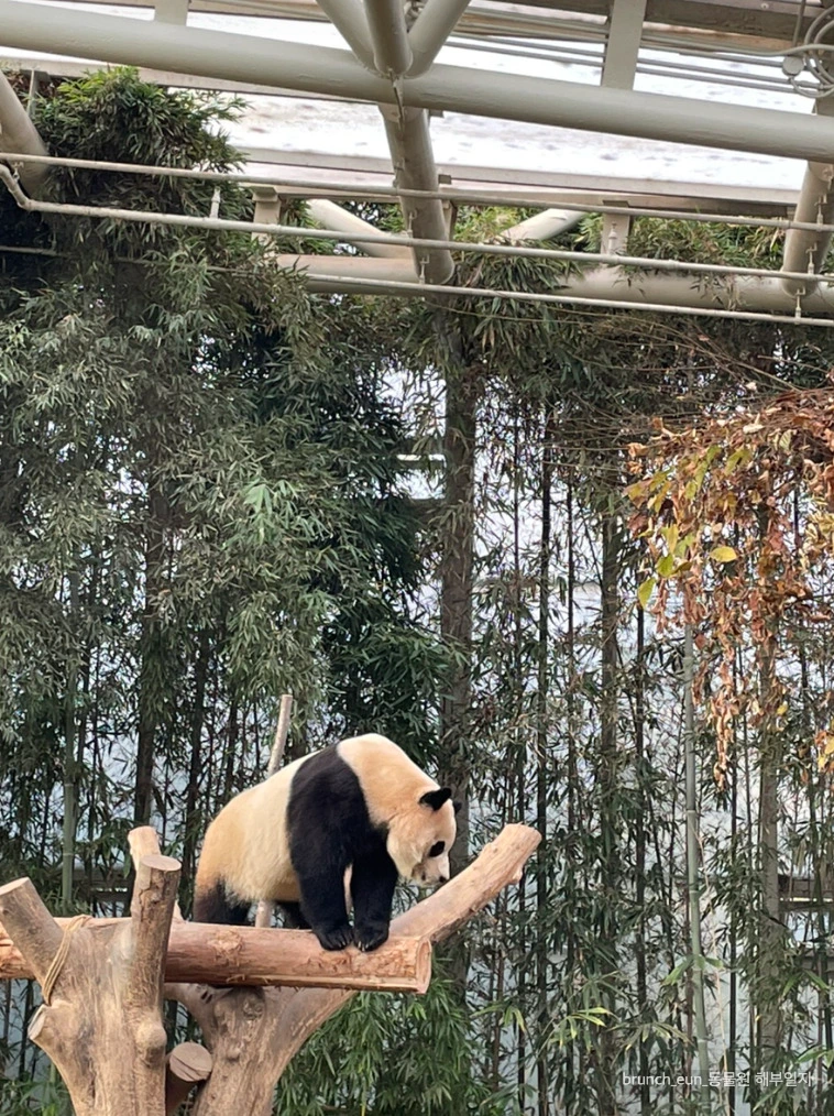 bJXFycbgpBoYmLdv4USRi_lgqU0